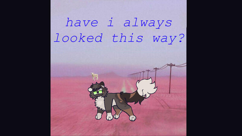 have i always have i always
